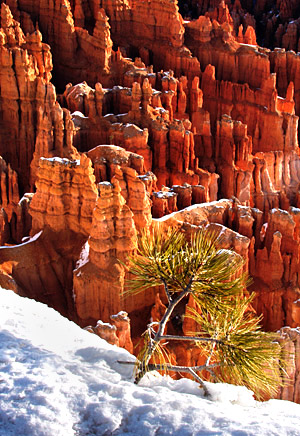 Southwest winter photo tour of Utah and Arizona's red rock country