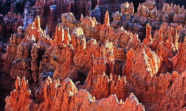 Bryce and Zion photo tour image
