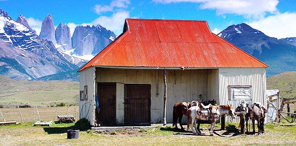 Gaucho's horses, Torres del Paine, Chile