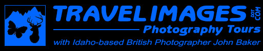 Travel agent commission information